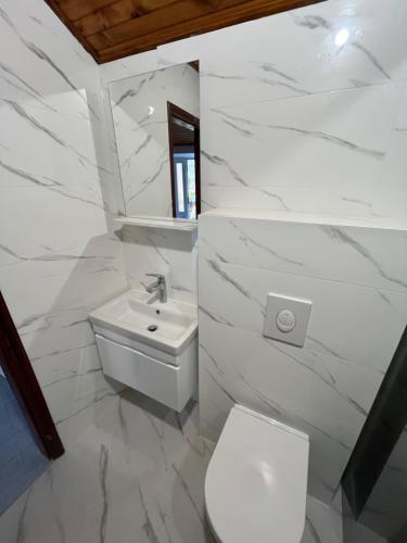 a white bathroom with a toilet and a sink at Apartmani Vidović Viganj in Viganj