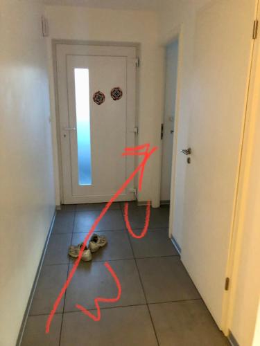 a cat laying on the floor in a hallway at Chambre proche Colmar in Sainte-Croix-en-Plaine