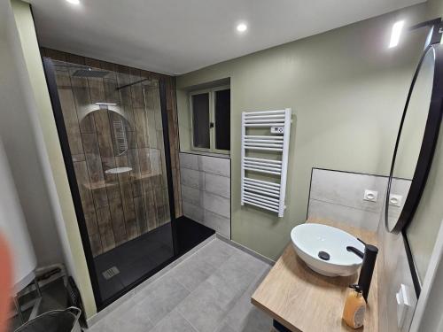 a bathroom with a shower and a toilet and a sink at Gîte de la Tour d'horloge in Carvin