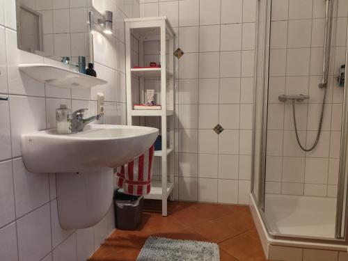 a bathroom with a sink and a shower at Austernfischer Ferienwohnung in Dangast