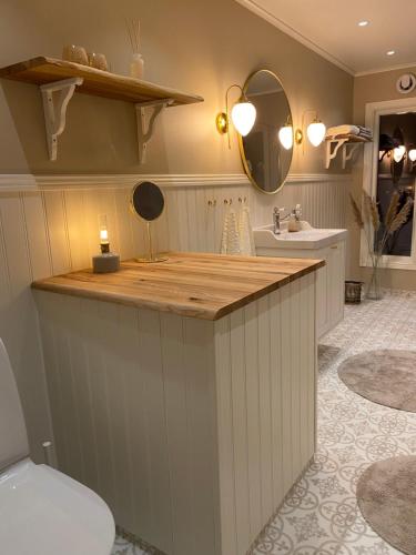 a bathroom with a counter with a sink and a mirror at Sjösikten in Ätran