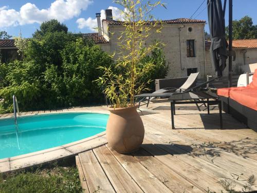 een potplant op een terras naast een zwembad bij Le phœnix in Linars