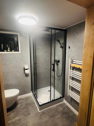 a bathroom with a shower and a toilet at Zakątek Ldzań in Ldzań