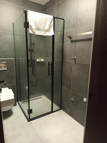een douche met een glazen deur in een badkamer bij Harmonija studio & apartments in Novi Sad