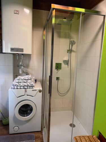 eine Waschmaschine in einem Badezimmer mit Dusche in der Unterkunft Ferienhaus Parschlug in Parschlug