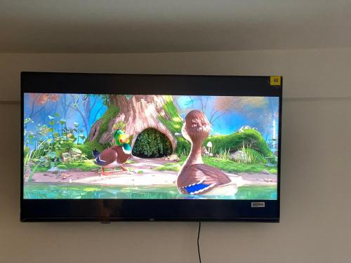a television with a picture of two ducks on it at Great apartment, Great location for 6 guests in London