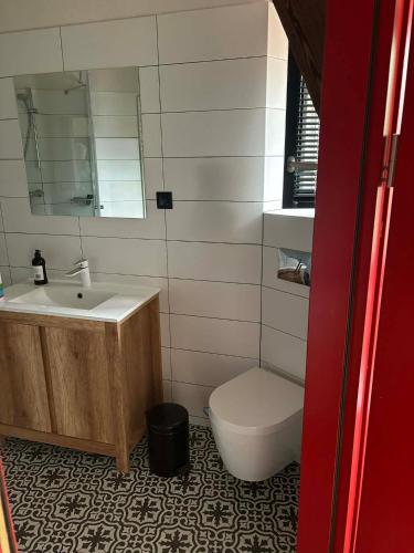 a bathroom with a sink and a toilet at Apartament "Przy Rynku" in Gliwice