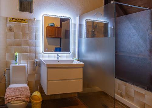 a bathroom with a sink and a mirror and a toilet at Villa Obaki in Sainte-Anne