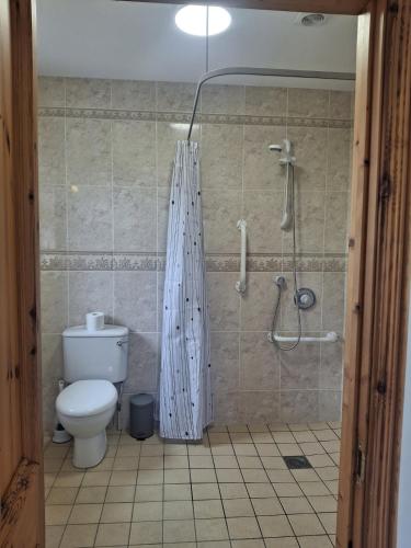 a bathroom with a shower with a toilet and a shower curtain at Redbrae cottage in Carnlough