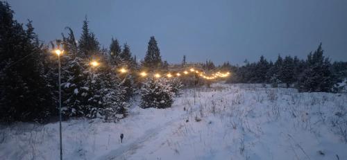 a row of lights in the snow at night at 2me2 - getaway in Värati in Värati