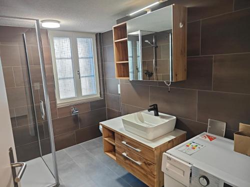 a bathroom with a sink and a shower at Frutigen 20 nach Interlaken in Frutigen