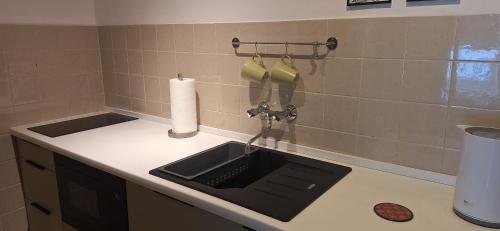 eine Küchentheke mit Spülbecken und einer Rolle Papierhandtücher. in der Unterkunft KWATERA in Danzig