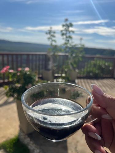 a person is holding a glass of wine at Villa carnaúbas in Pedro II