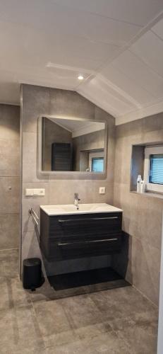 a bathroom with a sink and a mirror at Vakantievilla de Broak in Ambt Delden