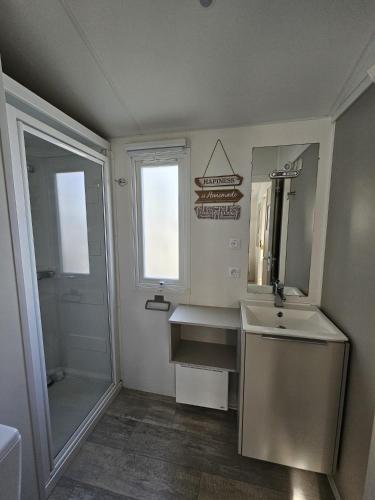 a bathroom with a sink and a mirror and a shower at O'ContisParadise 2 in Saint-Julien-en-Born