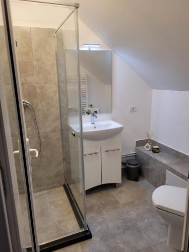 een badkamer met een douche en een wastafel bij Casa Nițică in Vaslui