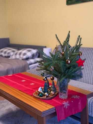 Apartament Salamandra Uno