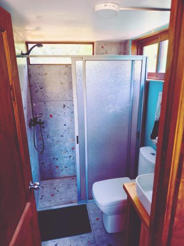 a bathroom with a shower and a toilet and a sink at Tiny House Detrás del río in Colbún
