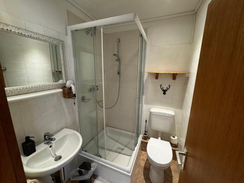 a bathroom with a shower and a toilet and a sink at Wald-Landhaus in Hahnenklee-Bockswiese