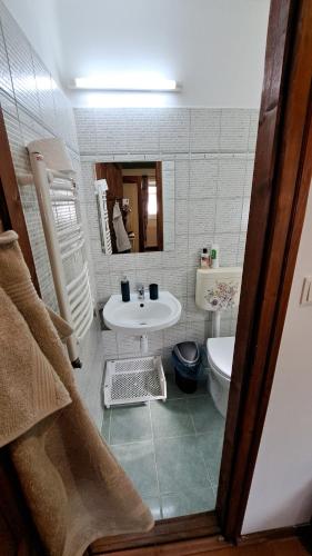 a bathroom with a sink and a toilet at THERMÁL vendégház in Sárospatak