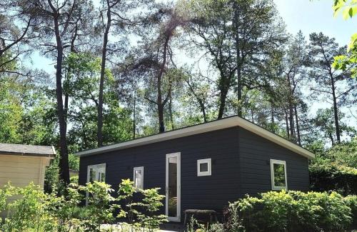 a black tiny house in the woods at Lodge De Winterkoning in Nunspeet
