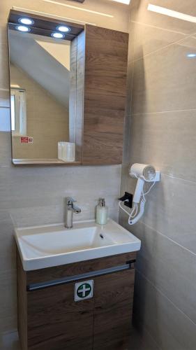 a bathroom with a sink and a mirror at Christina's Studio in Kalabaka