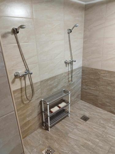a shower with a glass door and a shower at Napfény Tanya in Tázlár