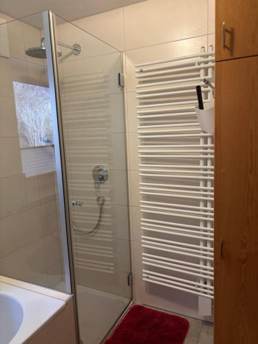 a shower with a glass door in a bathroom at Ferienwohnung Mayrhofer in Leogang