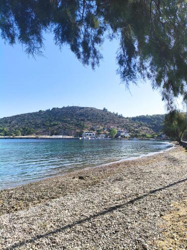 Mesta Port Bliss, Chios - Seaside Comfort and Charm