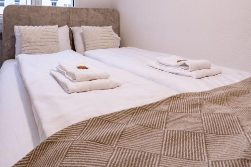 Foto The R Apartment Belchen 5