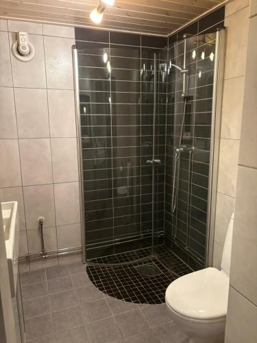 a bathroom with a shower and a toilet at Åker Lilläng Solviken in Skillingaryd