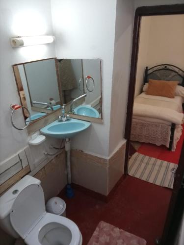 a bathroom with a sink and a toilet and a mirror at skoura in Skoura