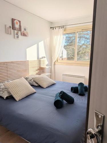 a bedroom with two blue pillows on a bed at Charmant T2 150 m de la cure thermale Gorges Du Verdon in Gréoux-les-Bains