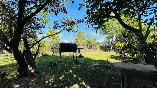 O grădină în afara Casa Campestre