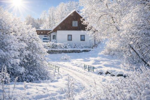 un cortile coperto da neve con una casa e alberi di AA Chalupa Šumava a Bošice