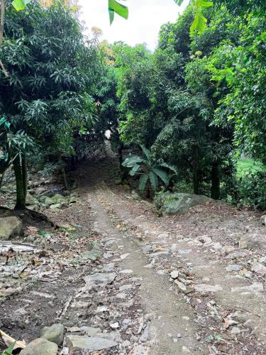 a dirt road in the middle of a forest at Villa Esther - Finca campestre en Mesitas del Colegio in El Colegio