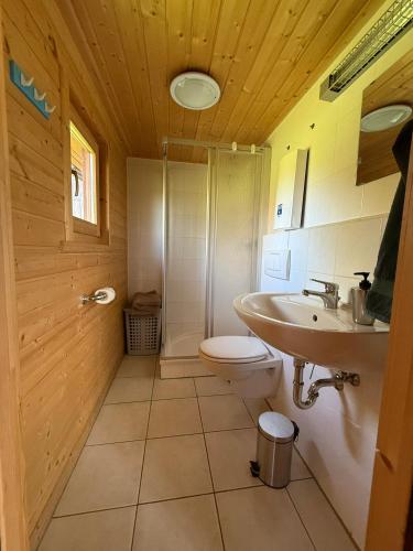 a bathroom with a toilet and a sink at Eulennest in Reimershagen