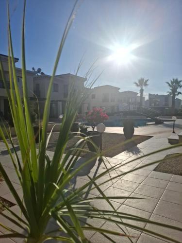 Sunny Stay Apartment