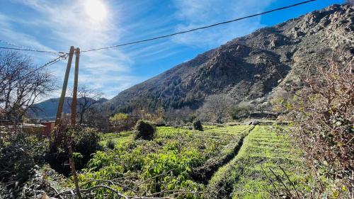 Phong cảnh thiên nhiên gần căn hộ