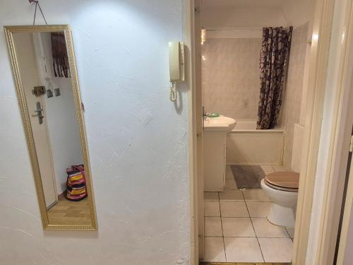 een badkamer met een toilet en een spiegel bij SAWADDEE in Clermont-Ferrand