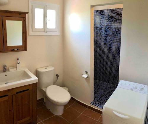 a bathroom with a toilet and a sink and a shower at Tranquility House Astros in Paralio Astros