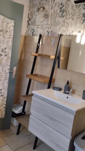 a bathroom with a ladder next to a sink at Gite 3 du Bas Coudreau in Rosnay