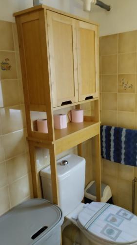 a bathroom with a toilet and a wooden cabinet at Gite N 4 du Bas Coudreau in Rosnay