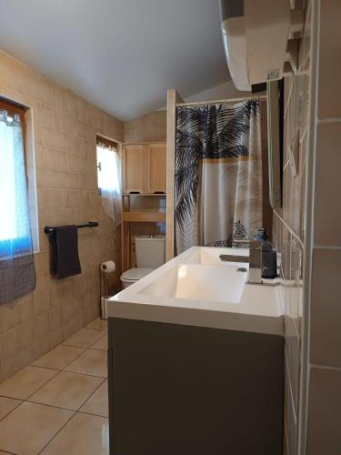 a bathroom with a white sink and a toilet at Maison N 2 Du Bas Coudreau in Rosnay