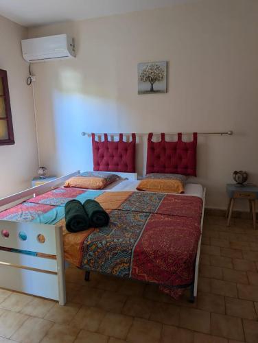 Легло или легла в стая в Location Hibiscus
