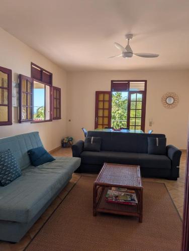Location Hibiscus