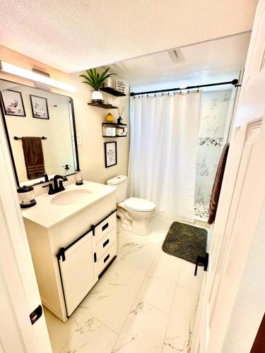 a bathroom with a sink and a toilet and a shower at Private Residence Below Basement in Thornton