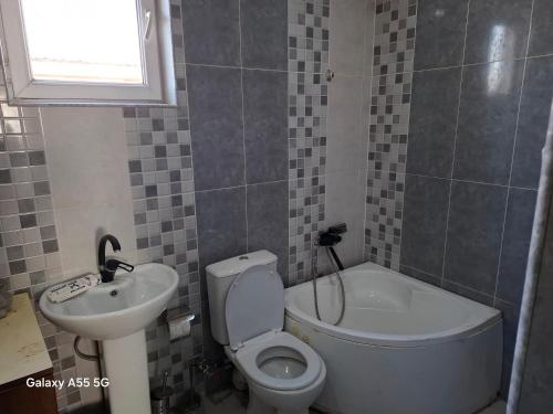 een badkamer met toilet en wastafel bij Алрез Гостевой дом in Vardanavan