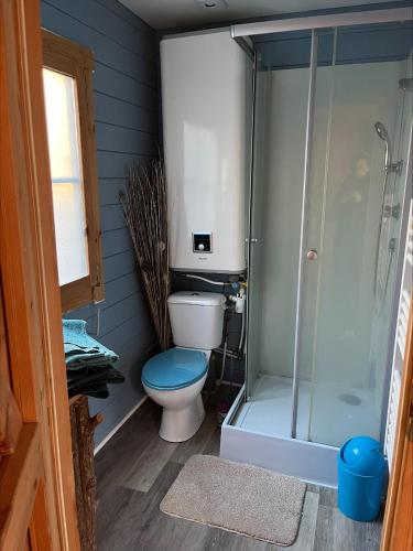 a bathroom with a toilet and a shower at Chalet en lisiere de Foret in Lacanau
