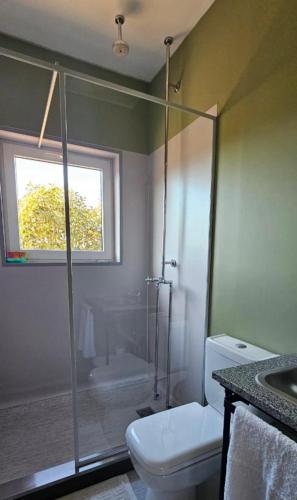 a bathroom with a shower and a toilet and a window at Gota de Piedra in Añelo